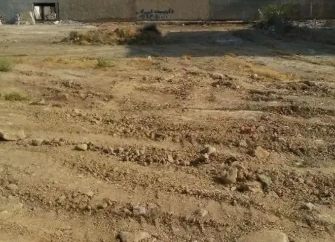 گورک زایر ابراهیمی