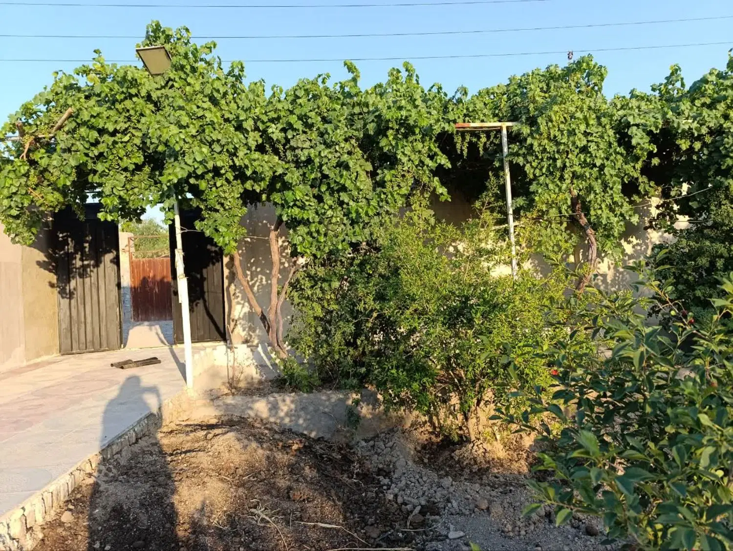 فروش باغچه یوسف رضا