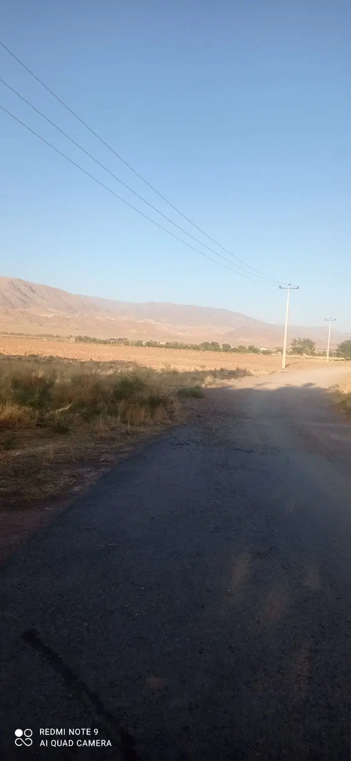 زمین جهت باغ زعفران گلخانه نصب پنل برق پسته