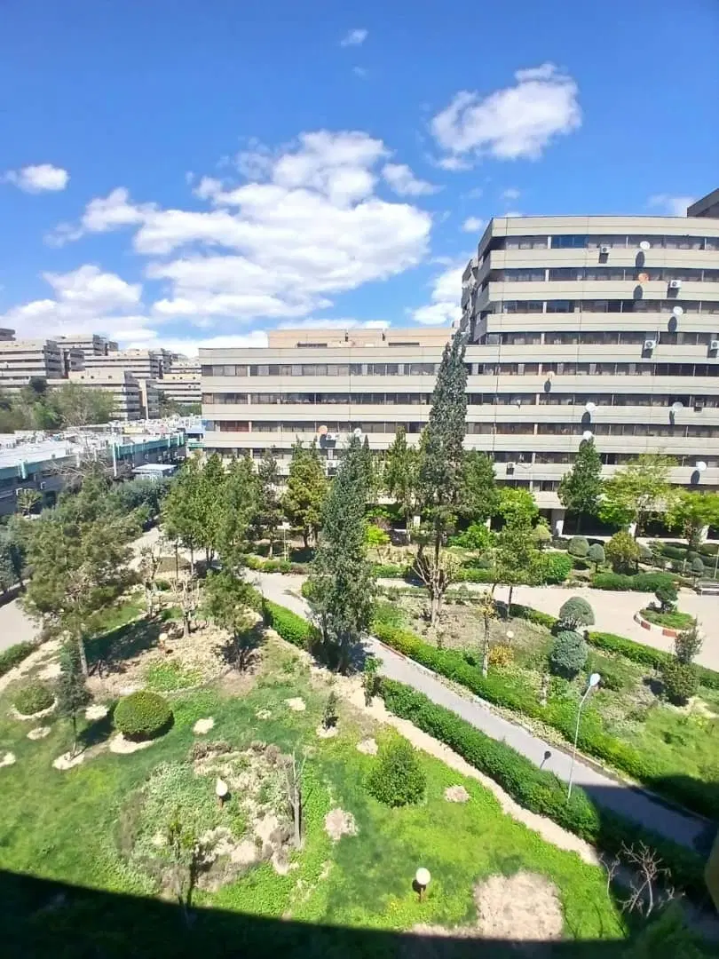141 متری بالای ورزشگاه