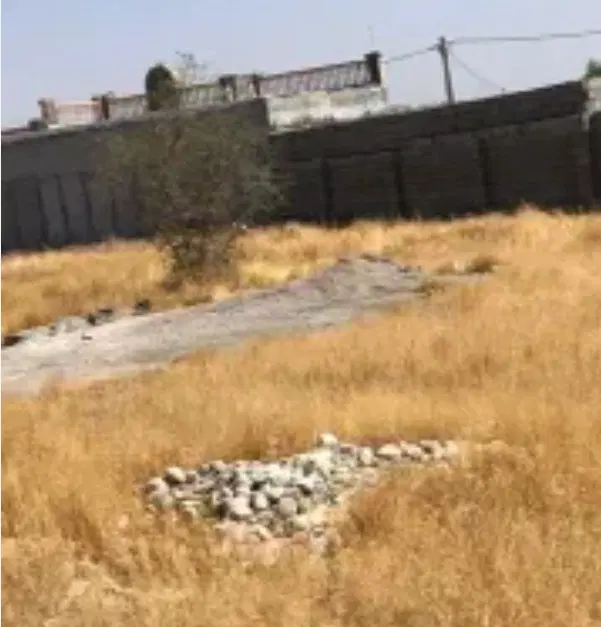 زمین سرخون
