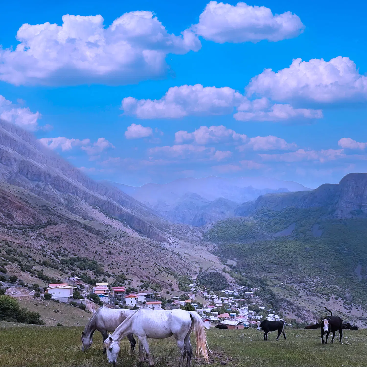 405 متر زمین در روستای ولی آباد جاده چالوس