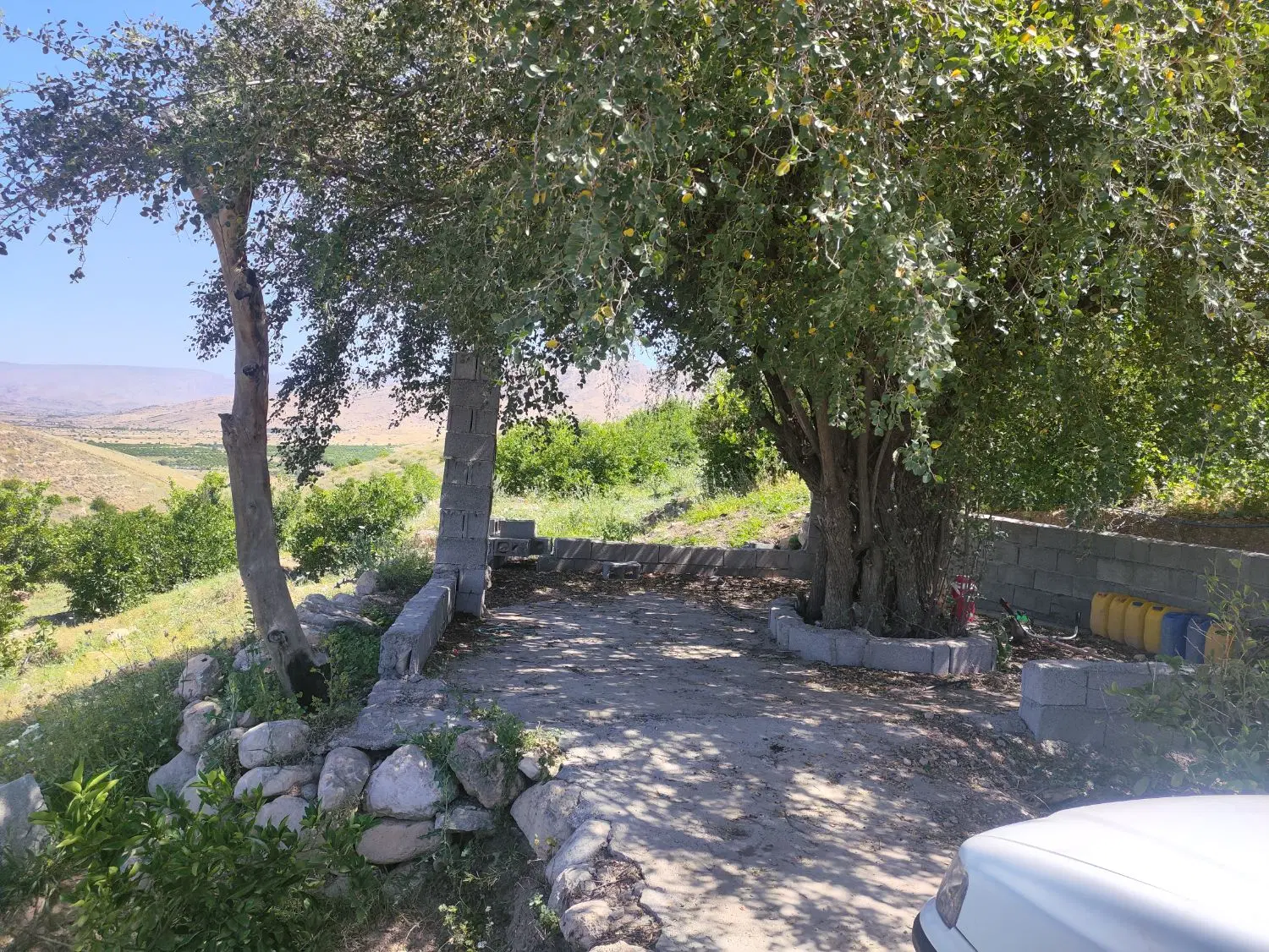 تقریبا یک هکتارباغ در شمس اباد چرام