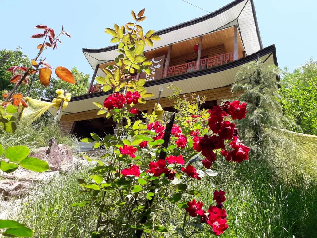 اجاره سالیانه کلبه چوبی با ویوی جنگل