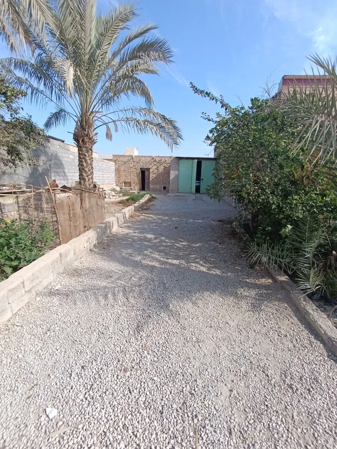 زمین بوشهر کوچه استخر