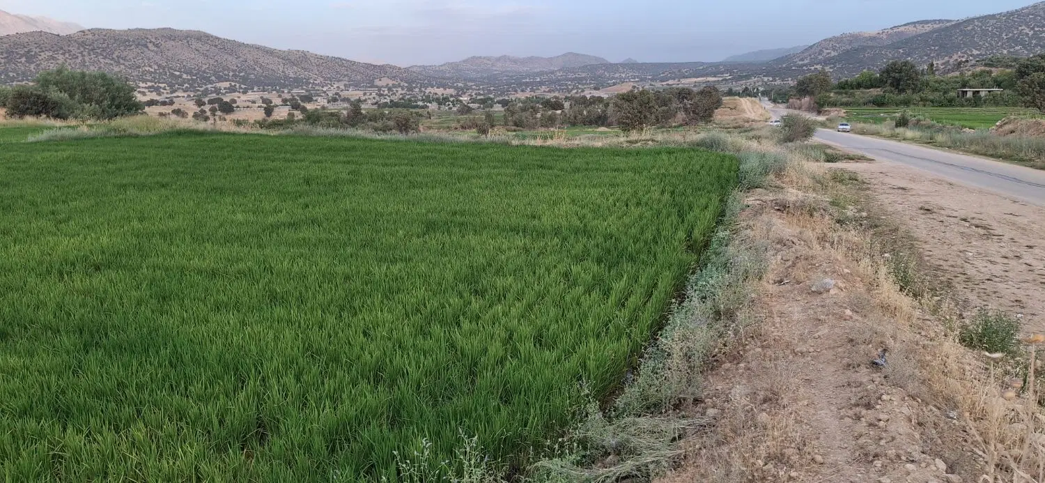 زمین