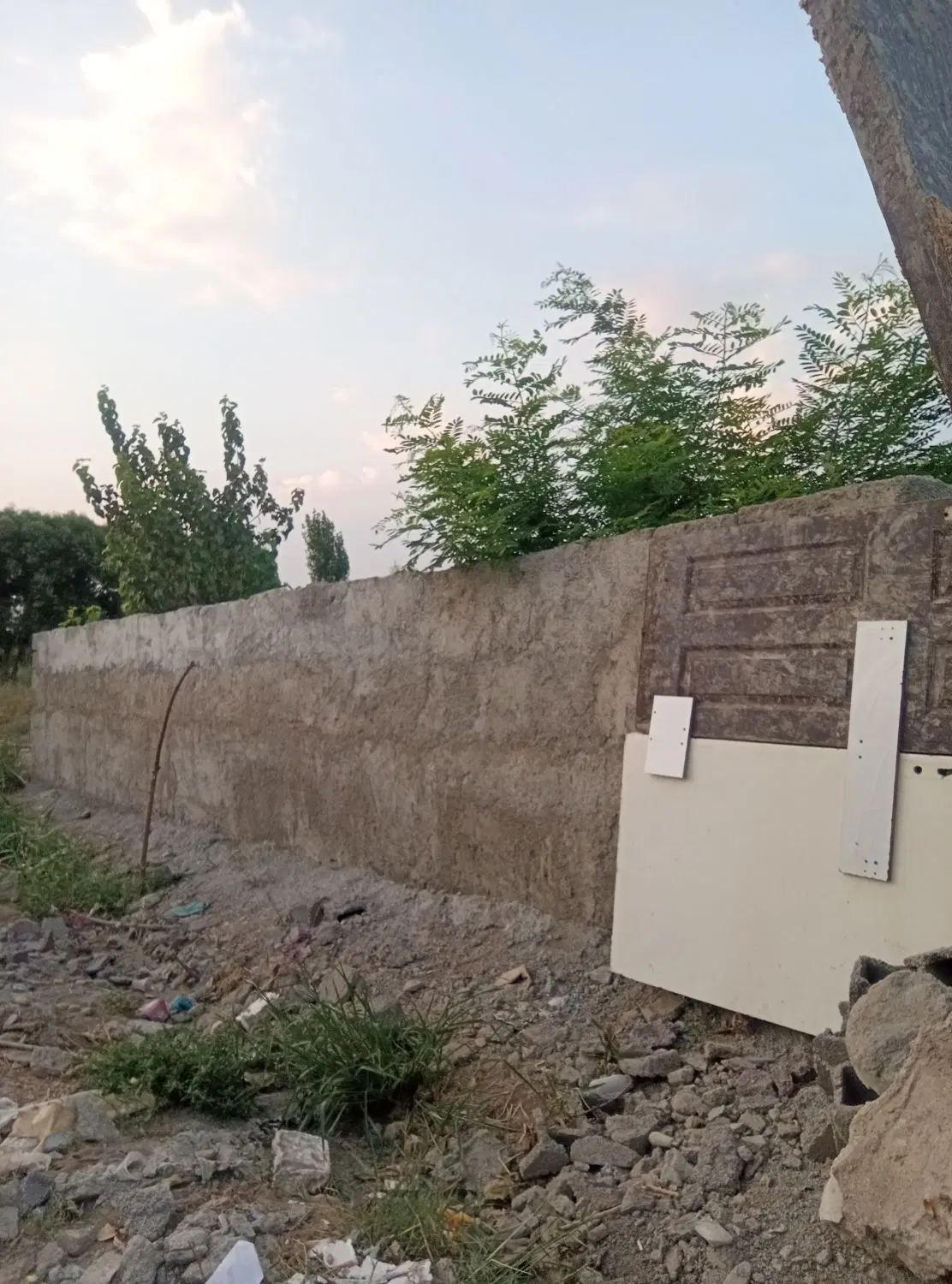 زمین باغی