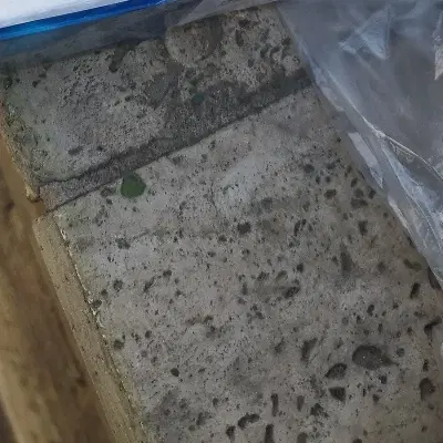 همخونه