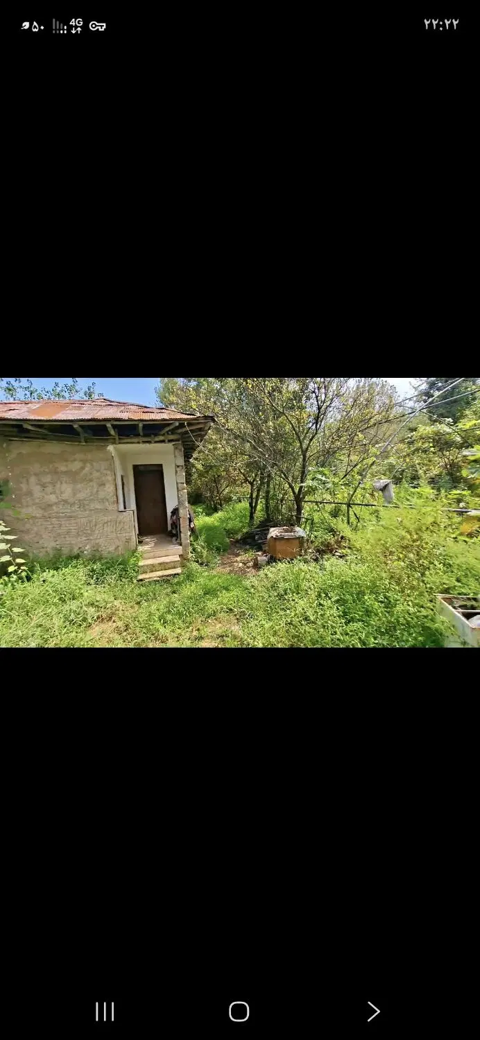 گلخانه ۱۵۰۰متری سند تکبرگ