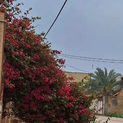 فروش زمین
