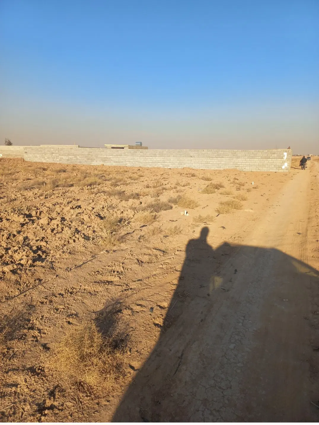 زمین باغی