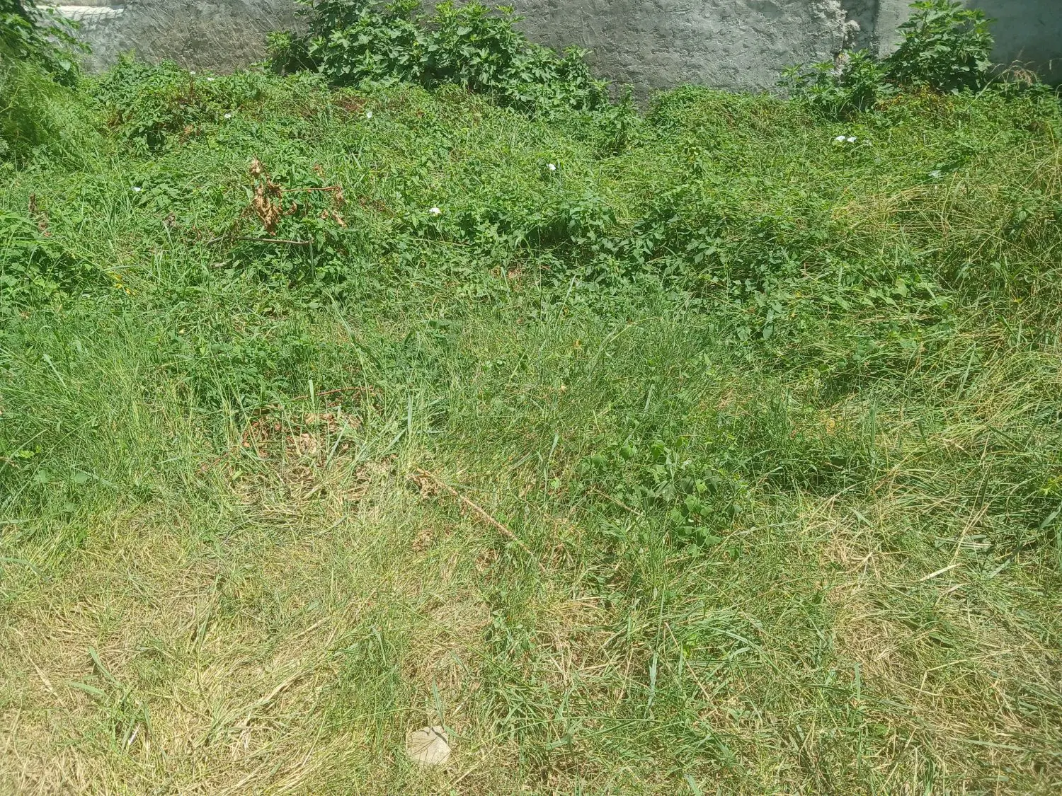 فروش زمین مسکونی روستایی
