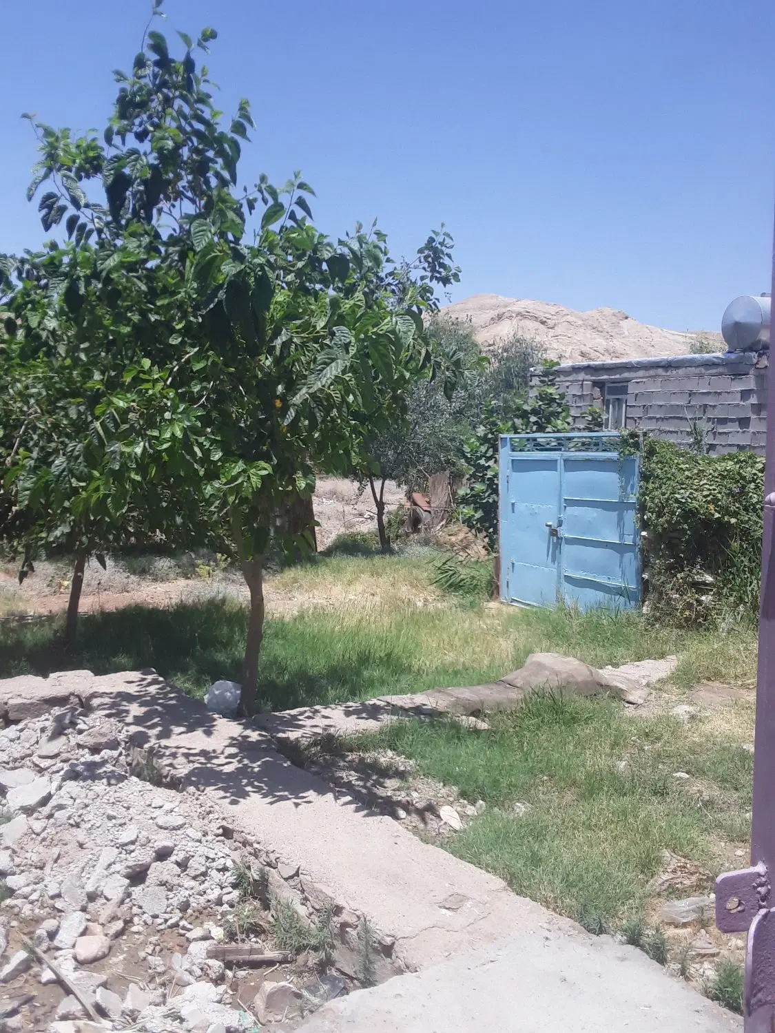 زمین باغزمز
