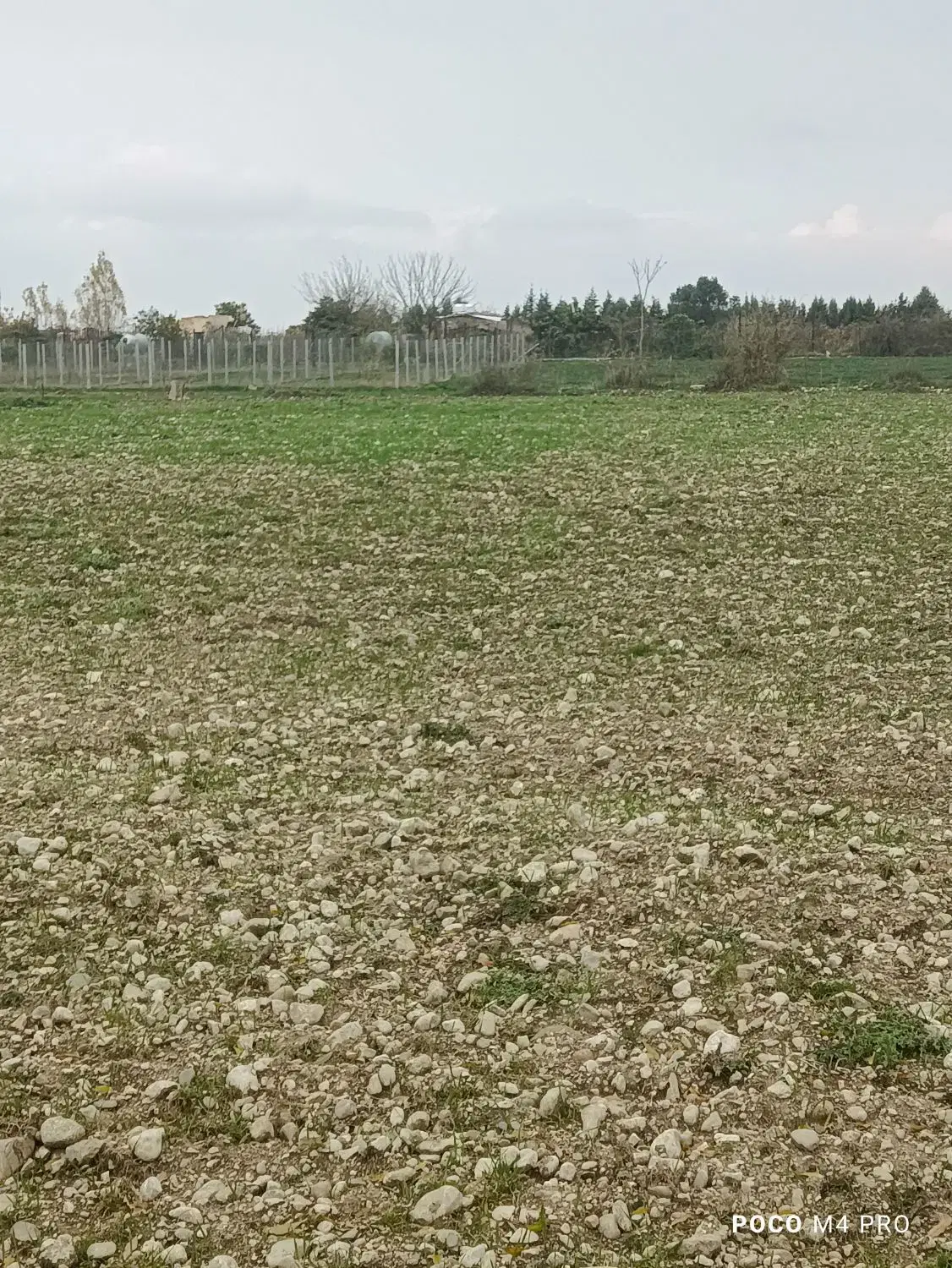 ۵۰۰مترزمین کشاورزی وسندبین سدن وسیدمیران