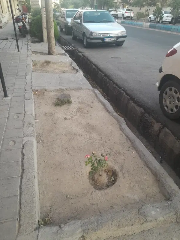 فروش زمین در شهرک مرزداران