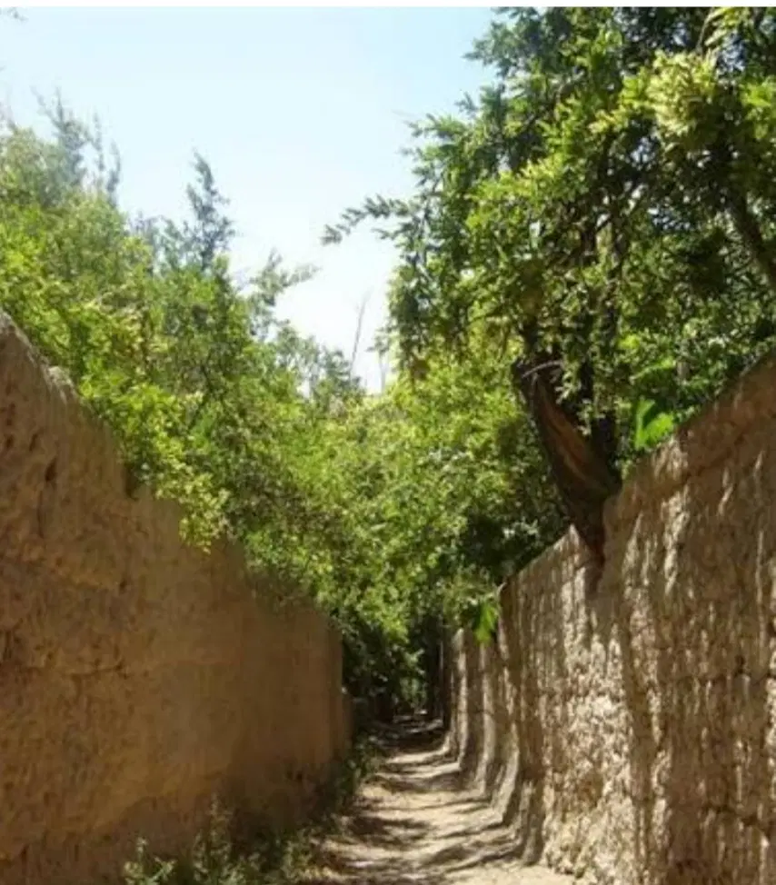 باغ در نجف آباد