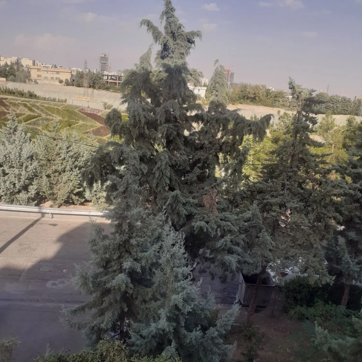 ۶۵متر اکواریوم  ویونهج البلاغه  همیلا