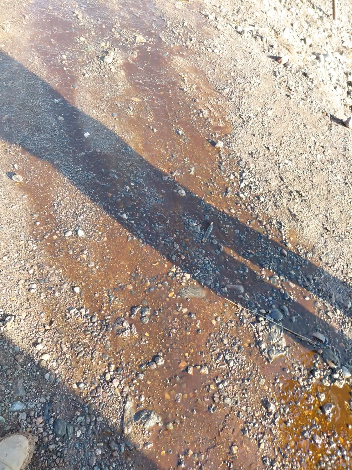 زمین مسکونی حیدره