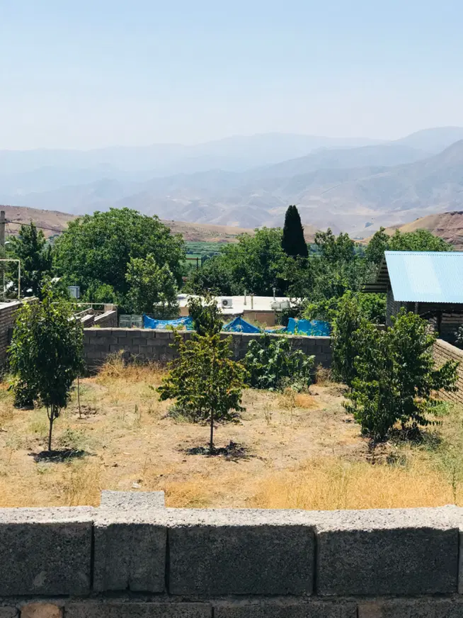 زمین مسکونی چهار دیواری رازمیان درخت ۴ساله