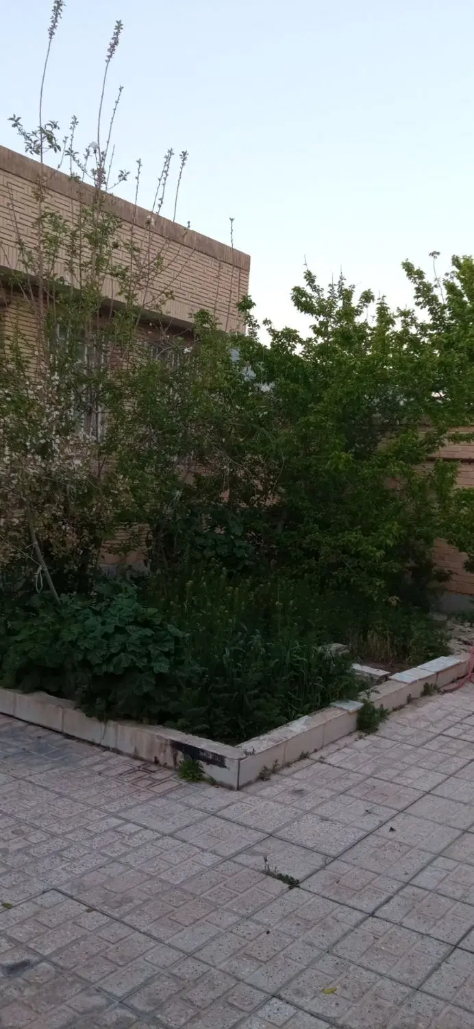 اجاره