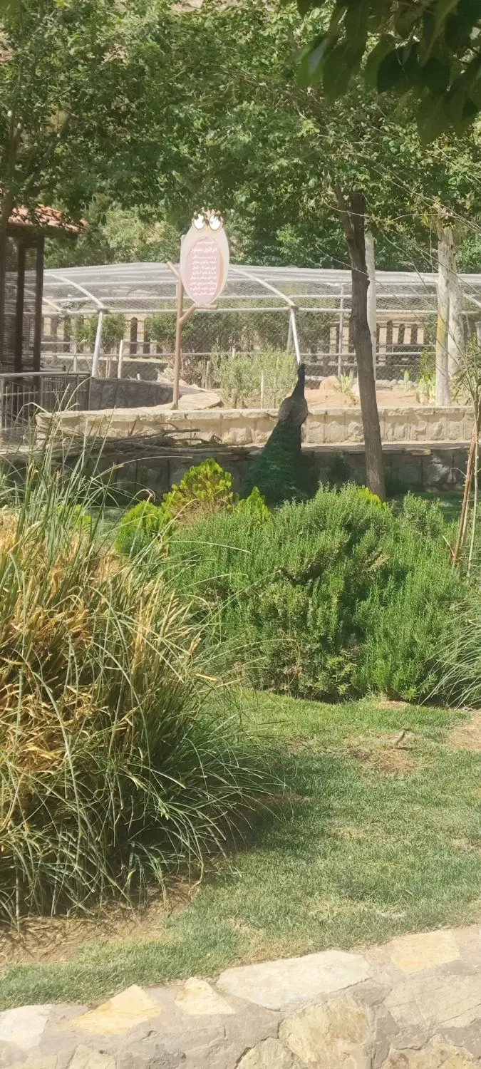ویلایی