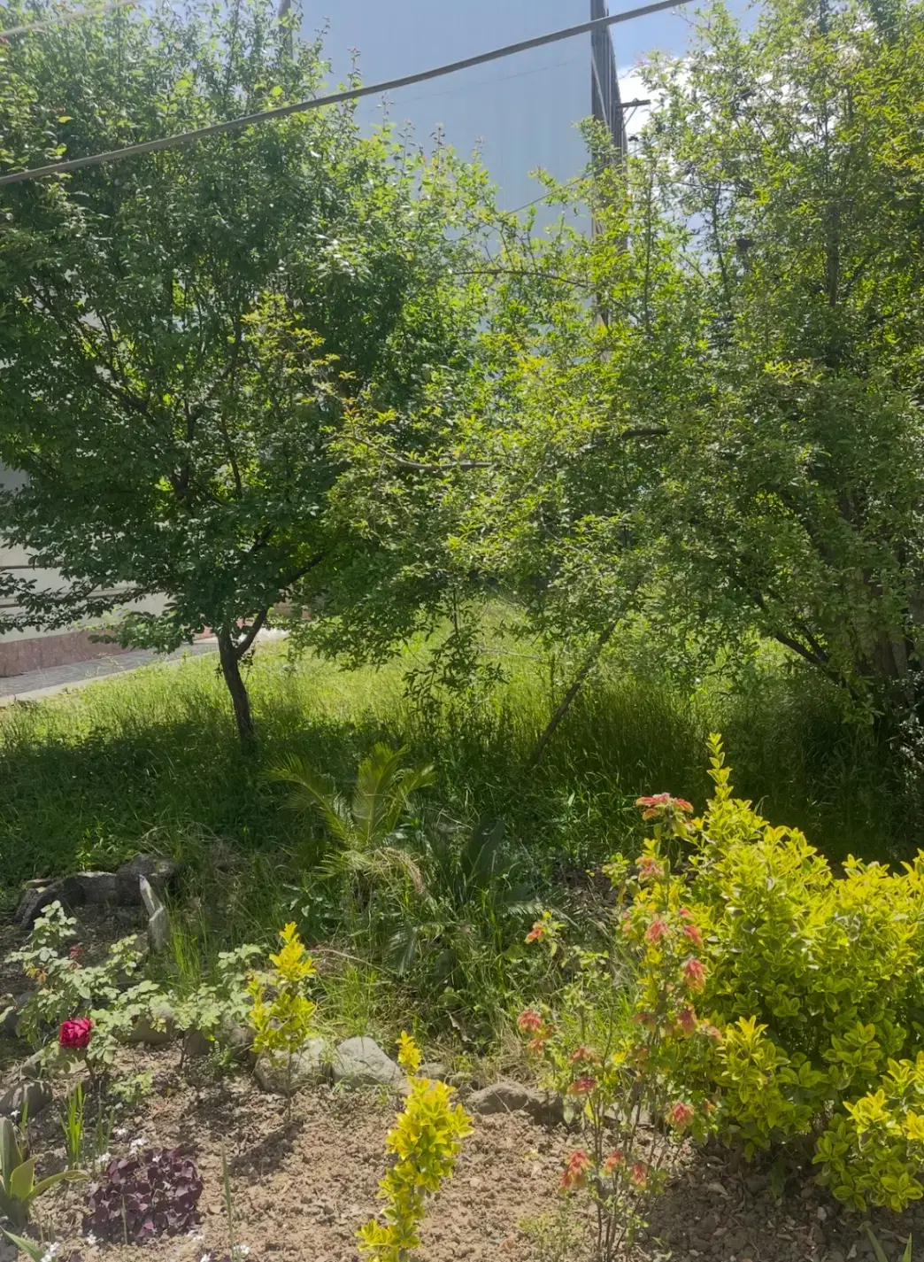 فروش زمین مسکونی