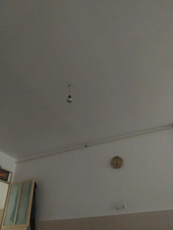 همخونه