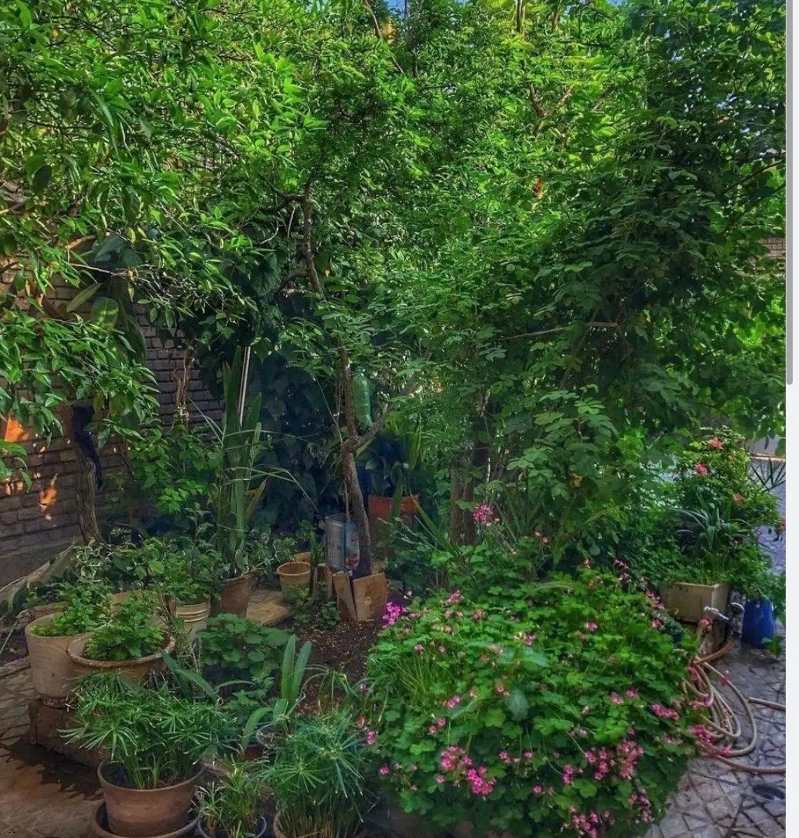 حیاط ویلایی