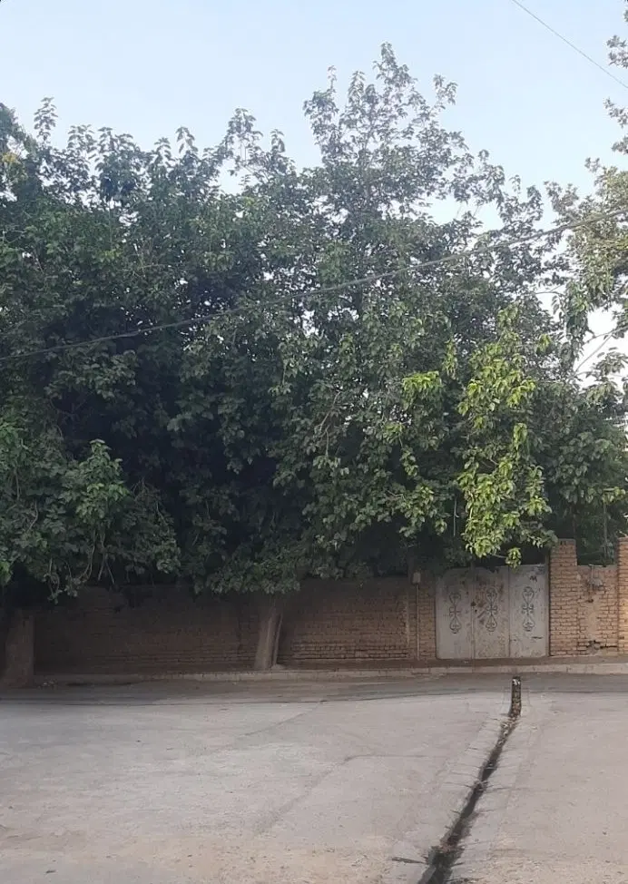 ۴۵۰متر با چهار دیواری