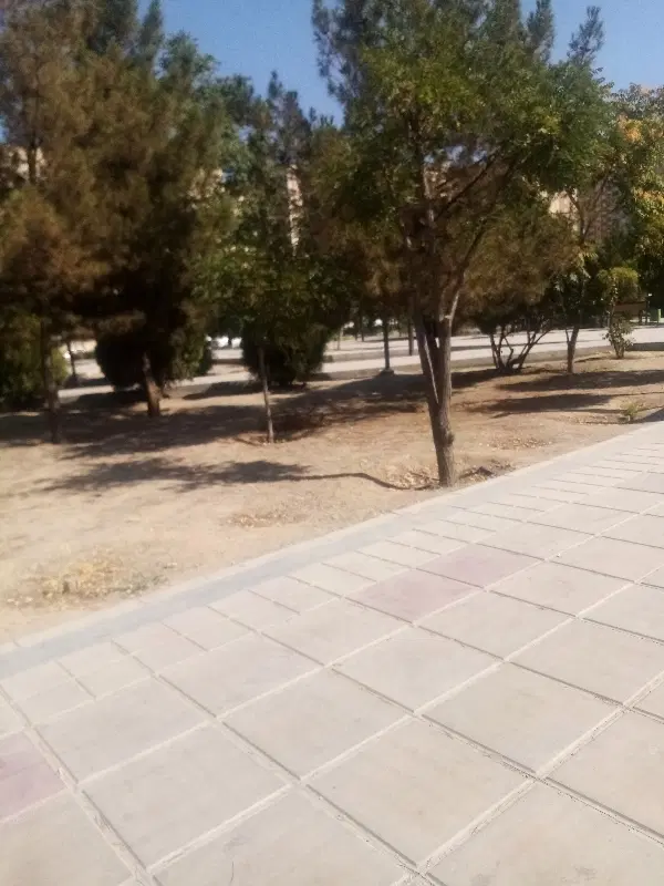 همخانه