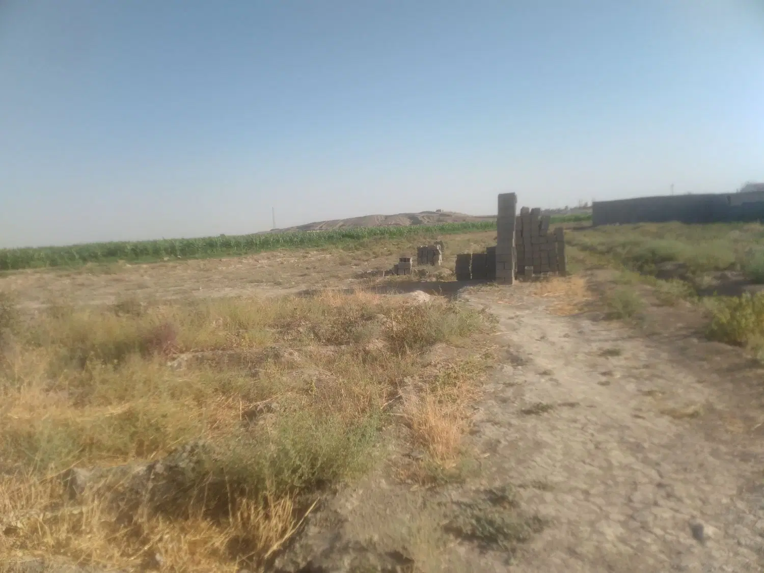 زمین باغ ۵۰۰ متری