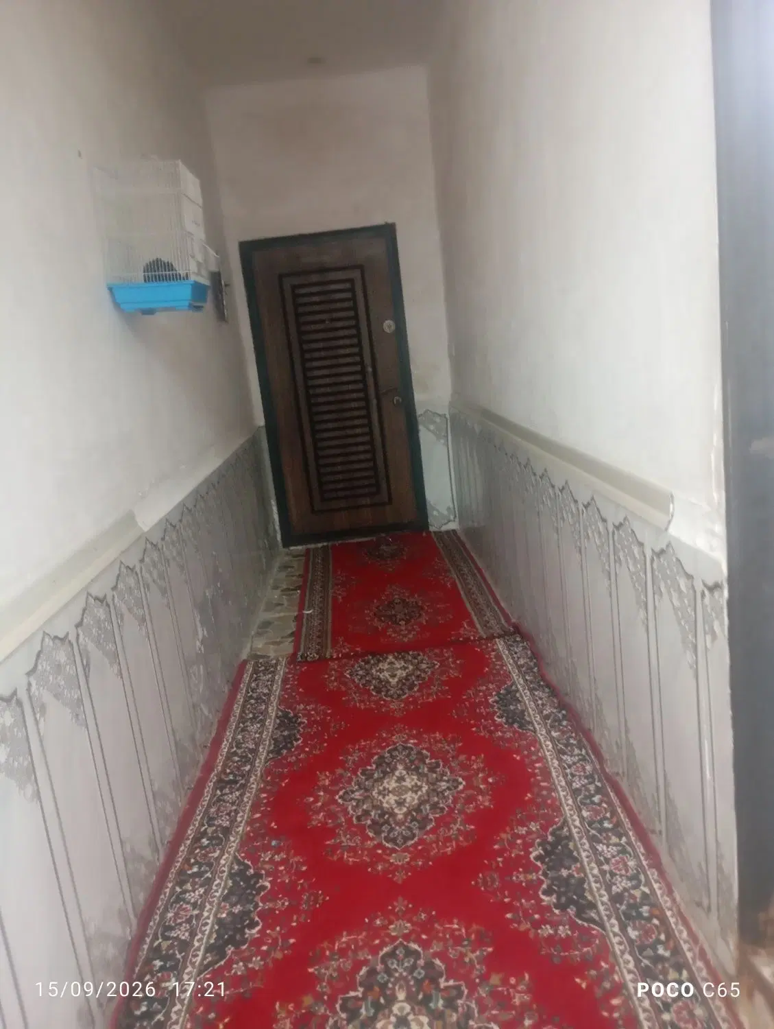 کوی مندلی