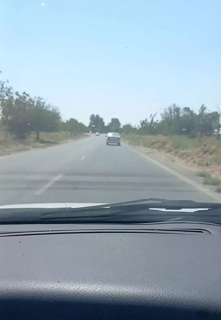 چهار دیواری جاده درختی خاوه