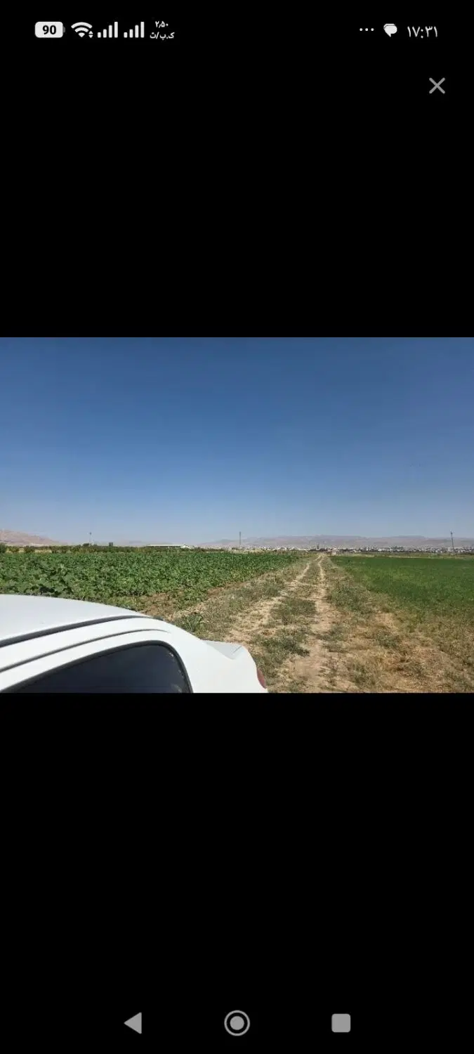 باغ انگور نبسش خیابان اصلی