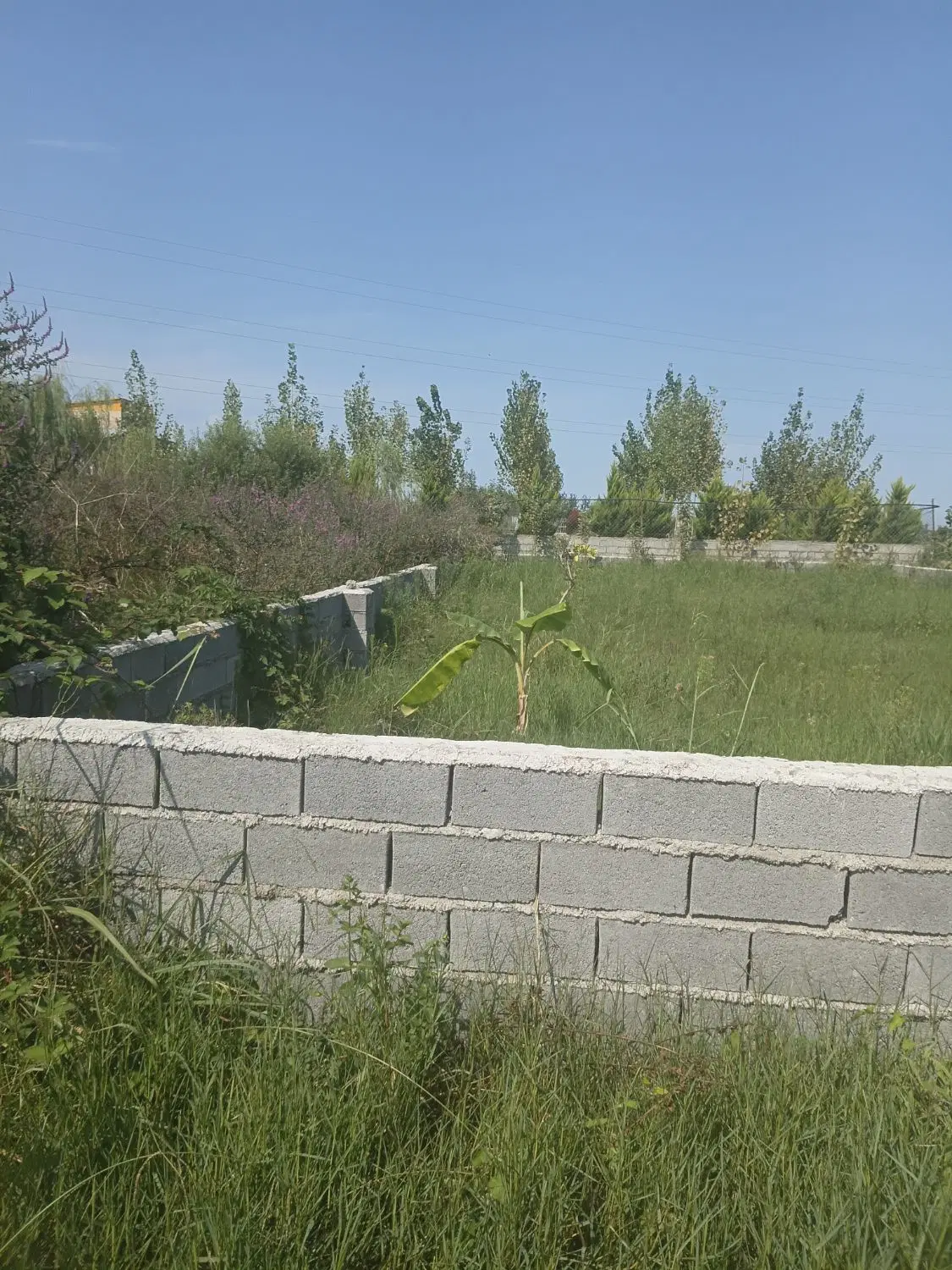 زمین شهرکی_سنددار_۷۰۰میلیون اقساط۱۲ماه
