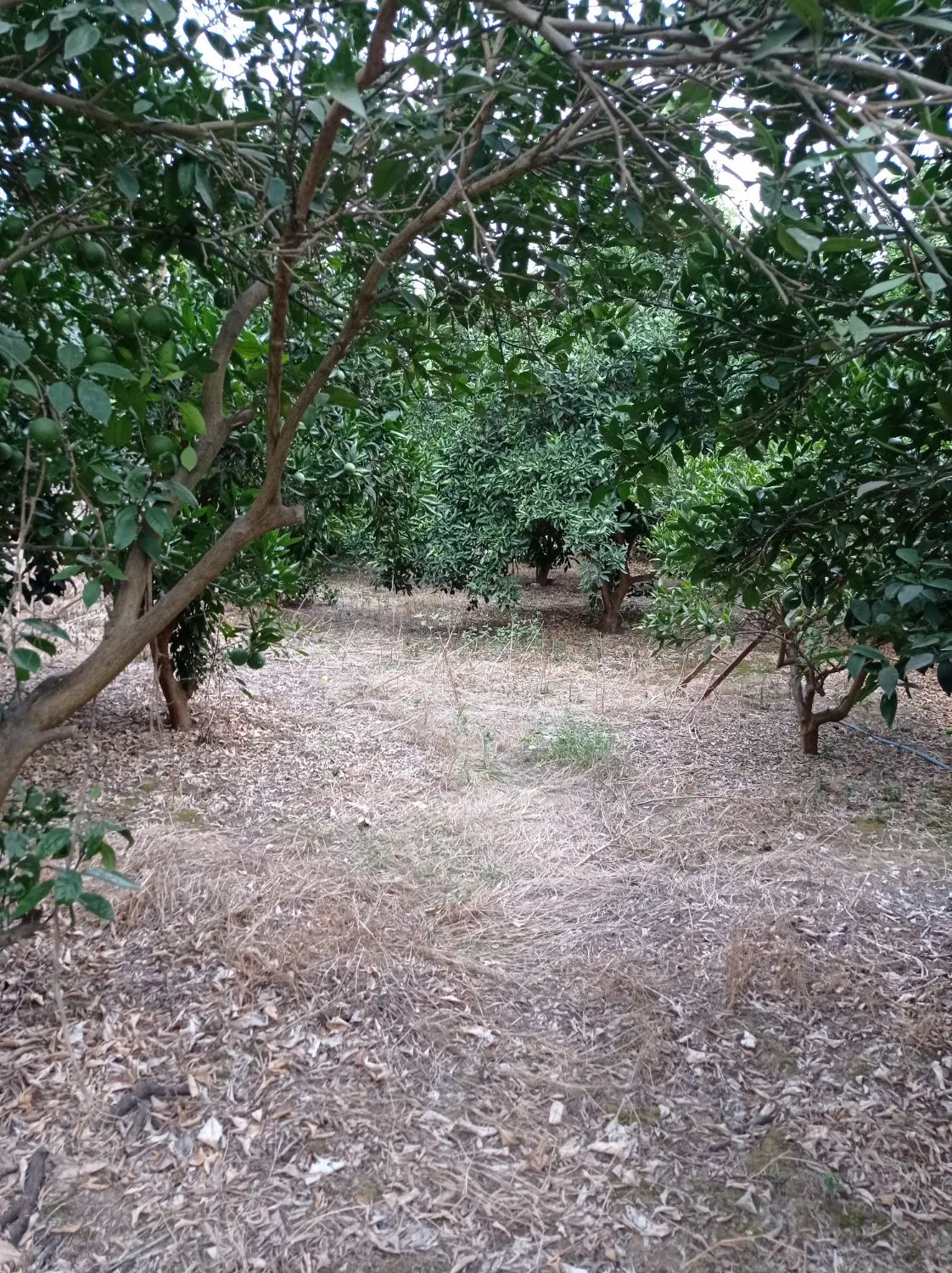 فروش خانه ویلایی
