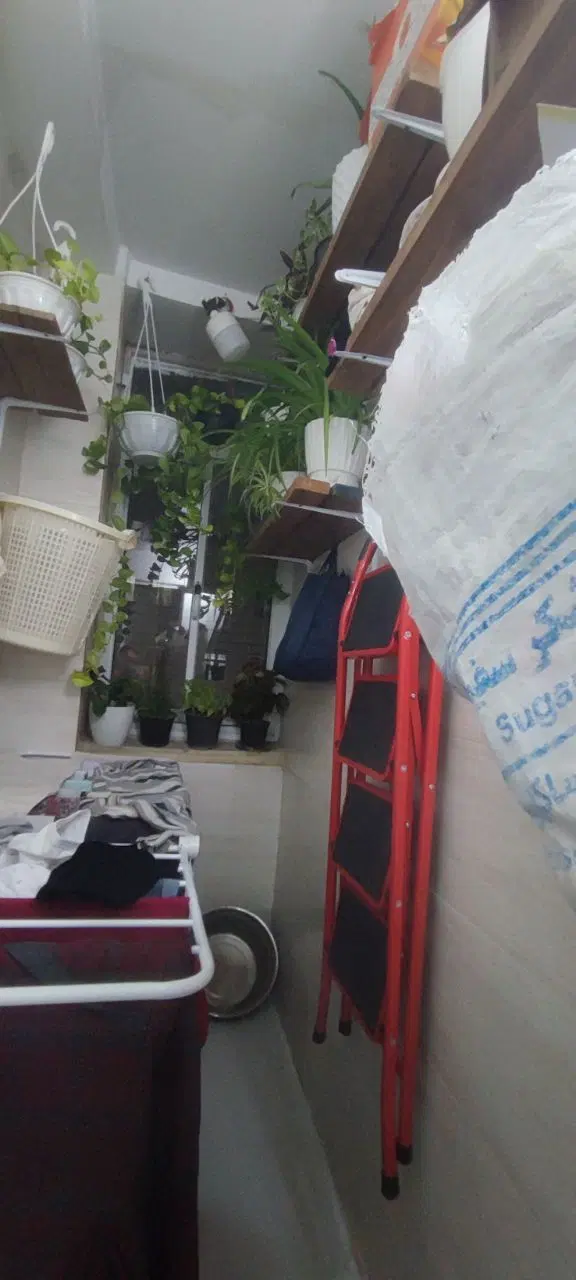 ۷۰متری بحر ۱۰ رو به نما