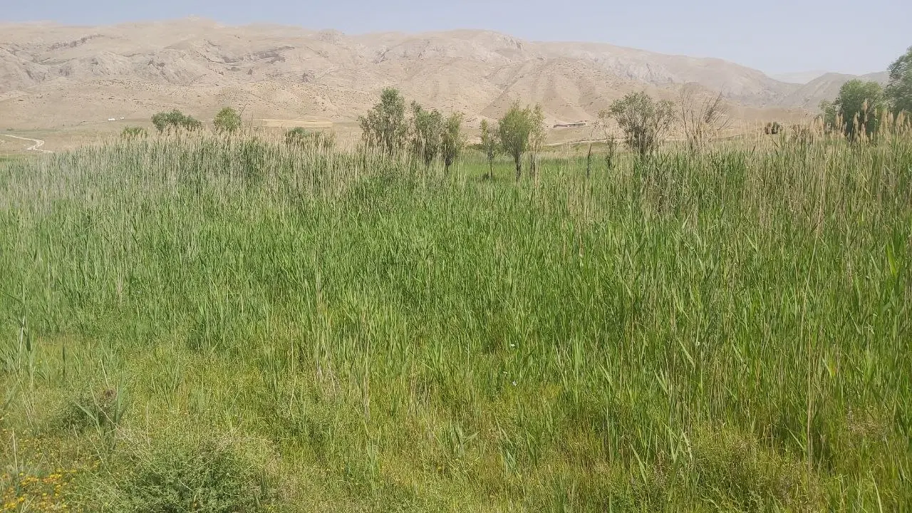 ۱۳ هزار متر زمین