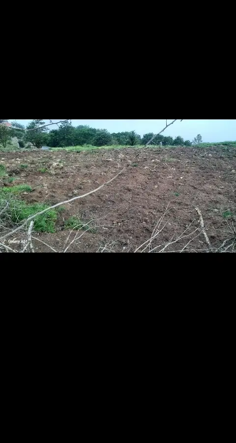زمین در تالش ریک ایربو (مثلاکوه)