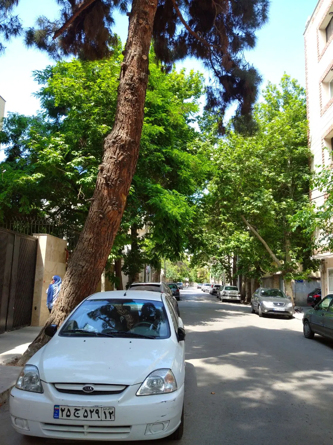610مترویلایی مناسب ساخت