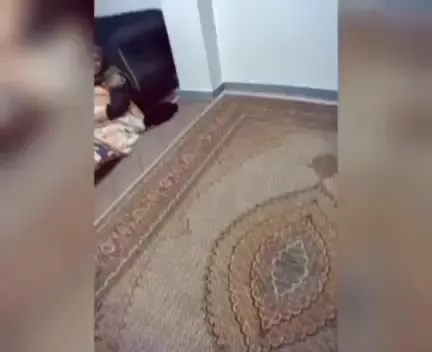 * ۵۸ متری* طبقه اول با پارکینگ و انباری* عدل آباد*