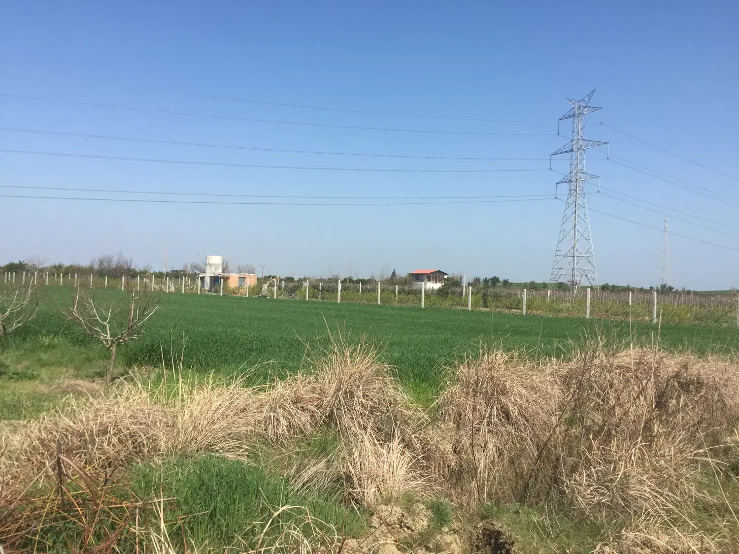 زمین کشاورزی ۲۳۵۰ متر