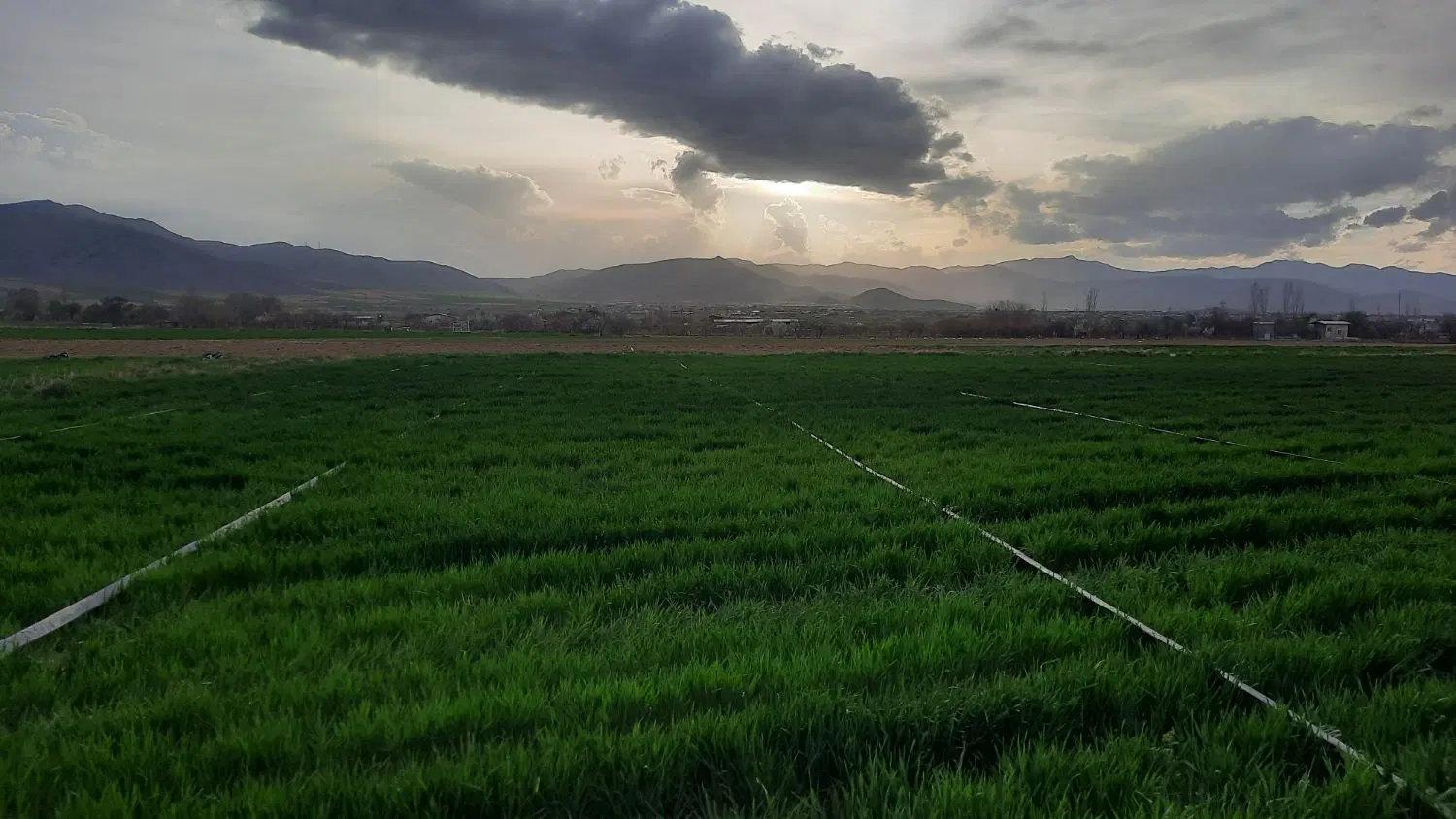 زمین مناسب باغ و ویلا