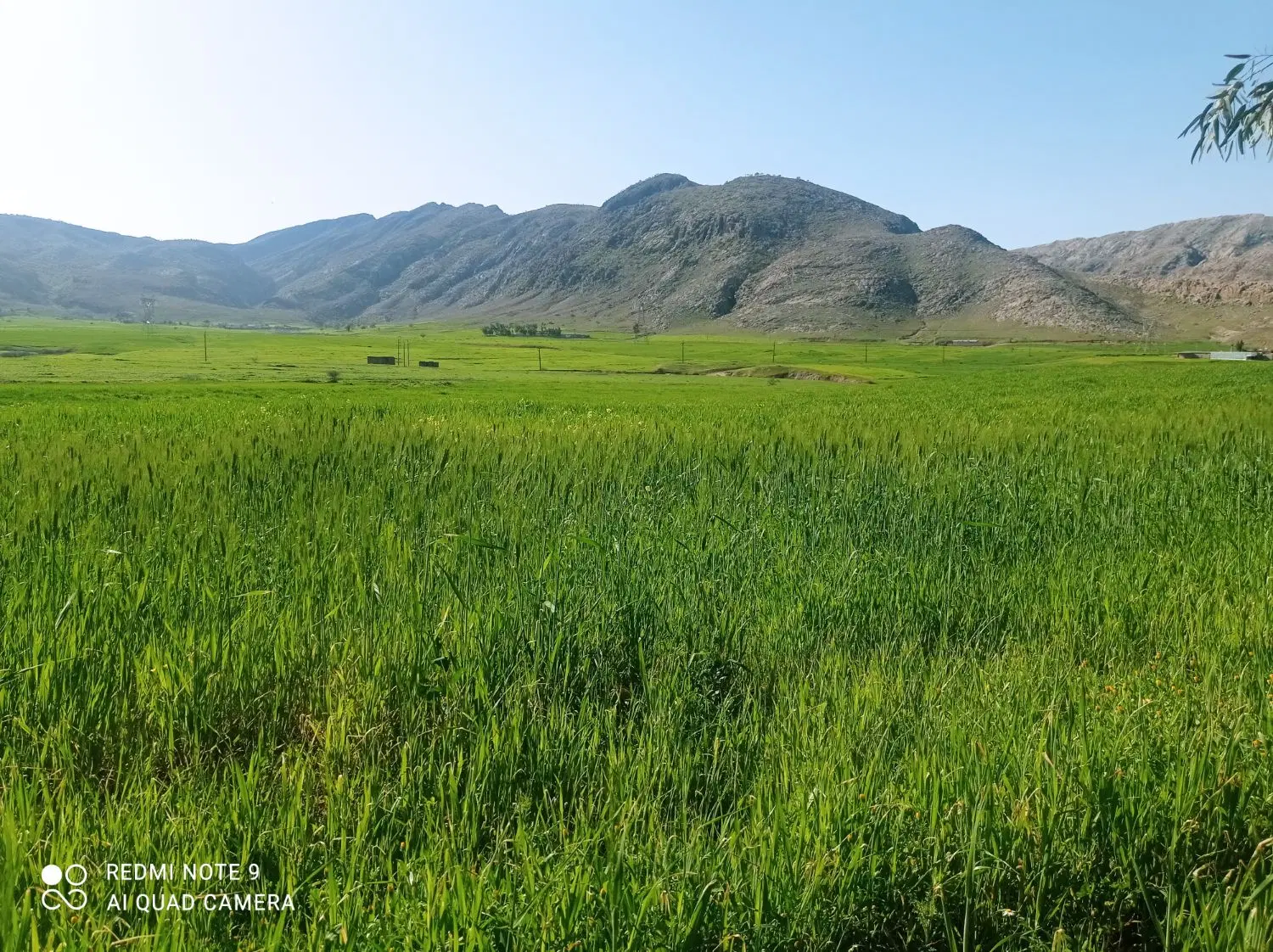 فروش و معاوضه زمین مسکونی