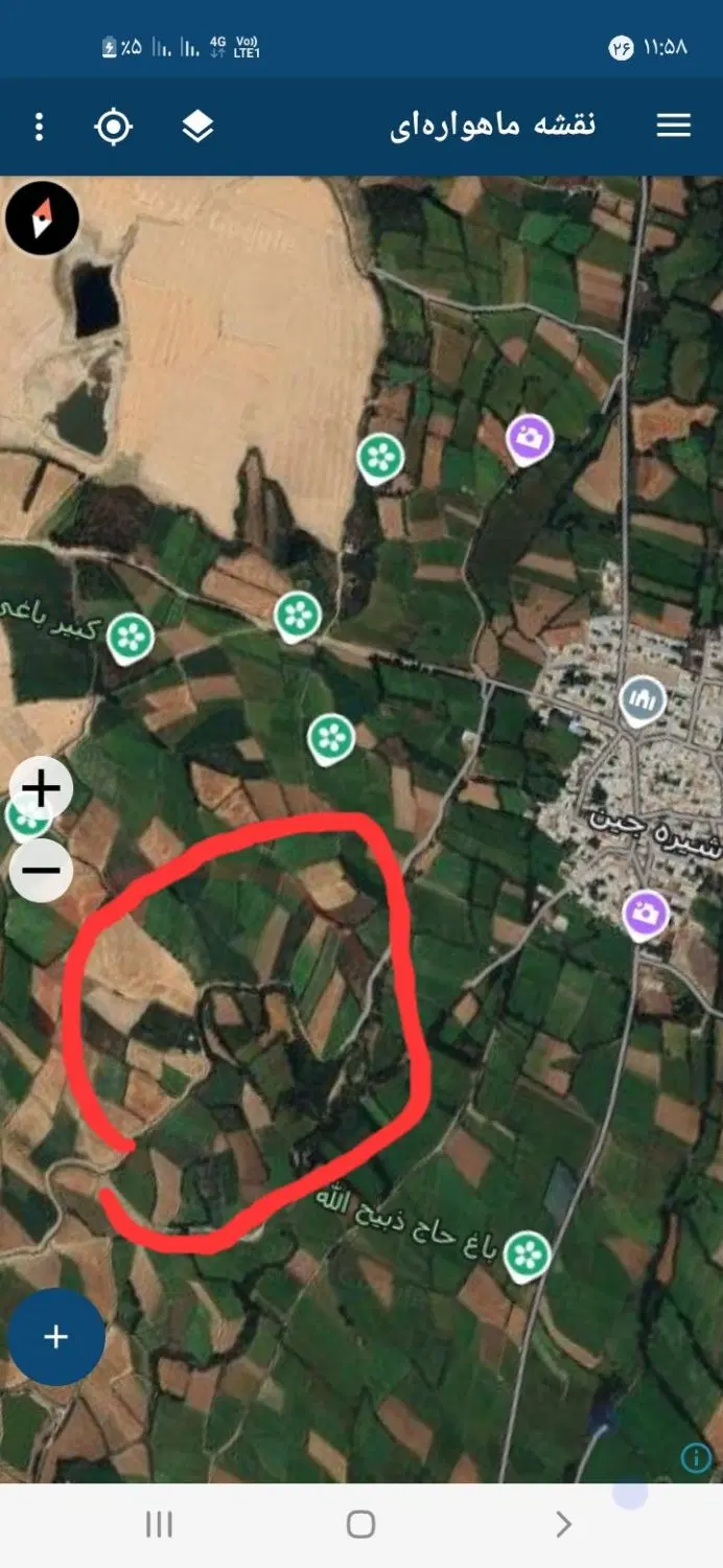 زمین