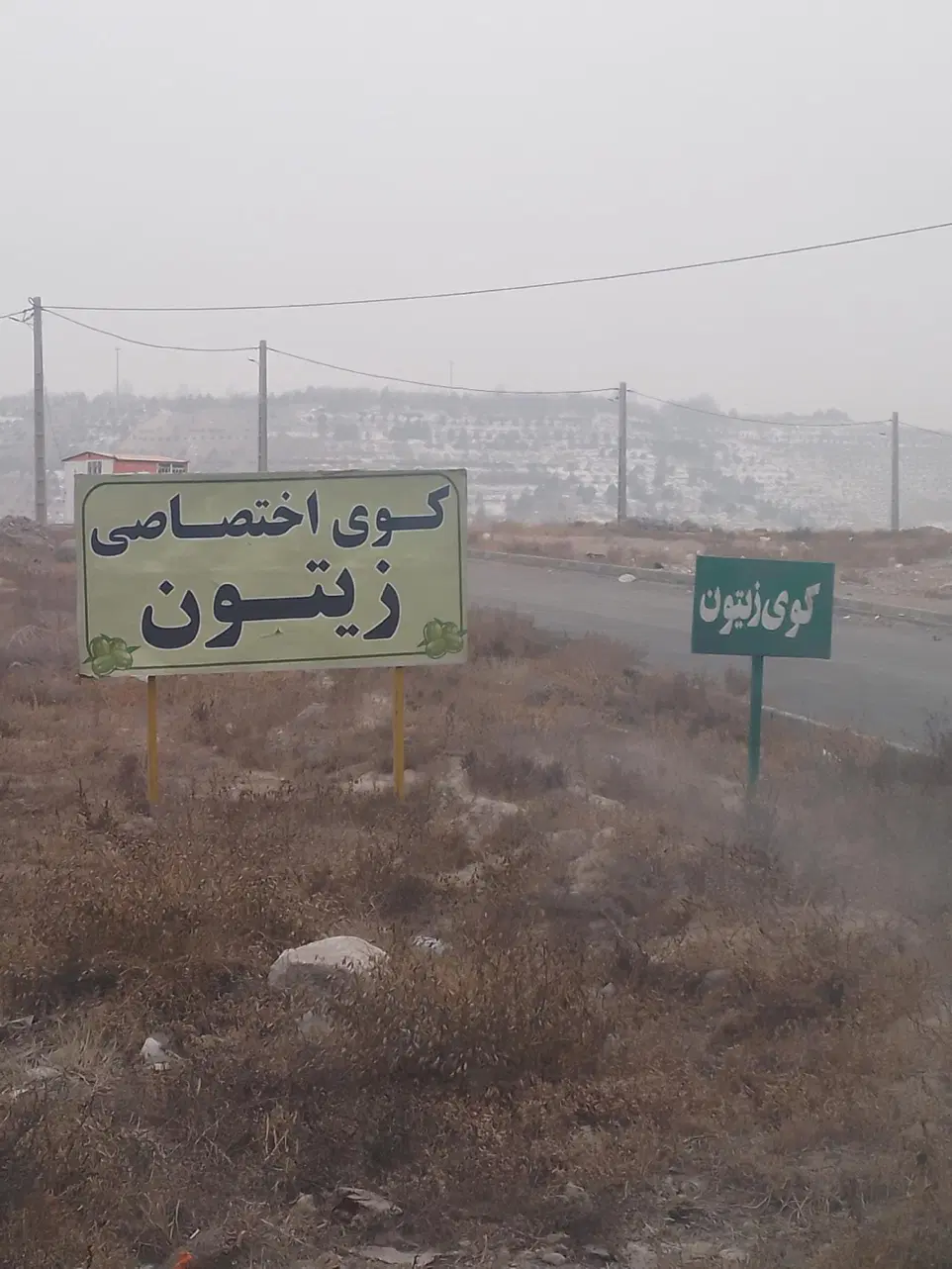 کوی زیتون شمالی