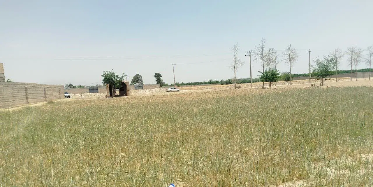 زمین کشاورزی