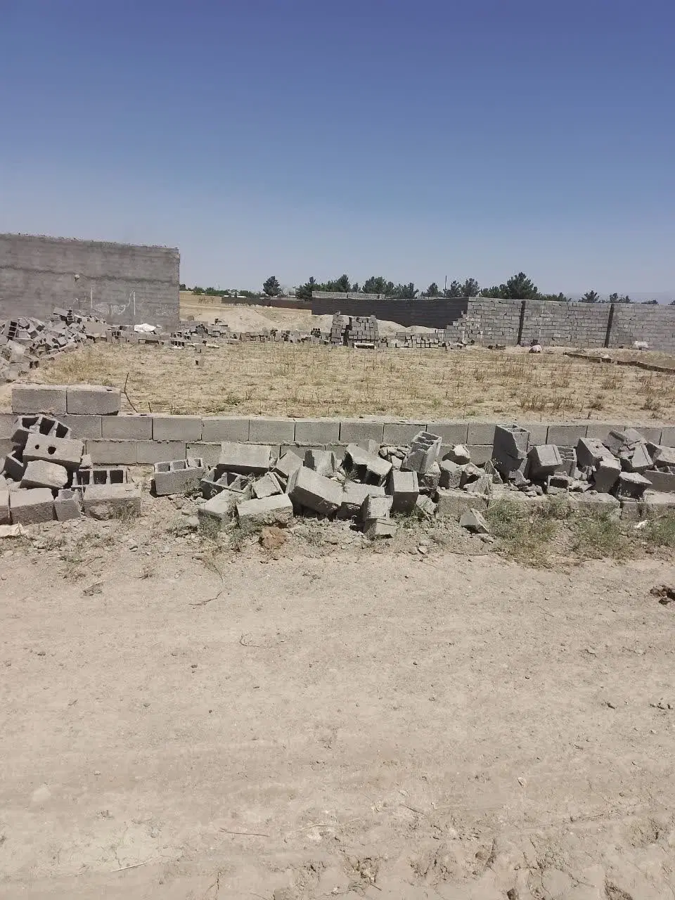 استثنایی زمین زعفرانی