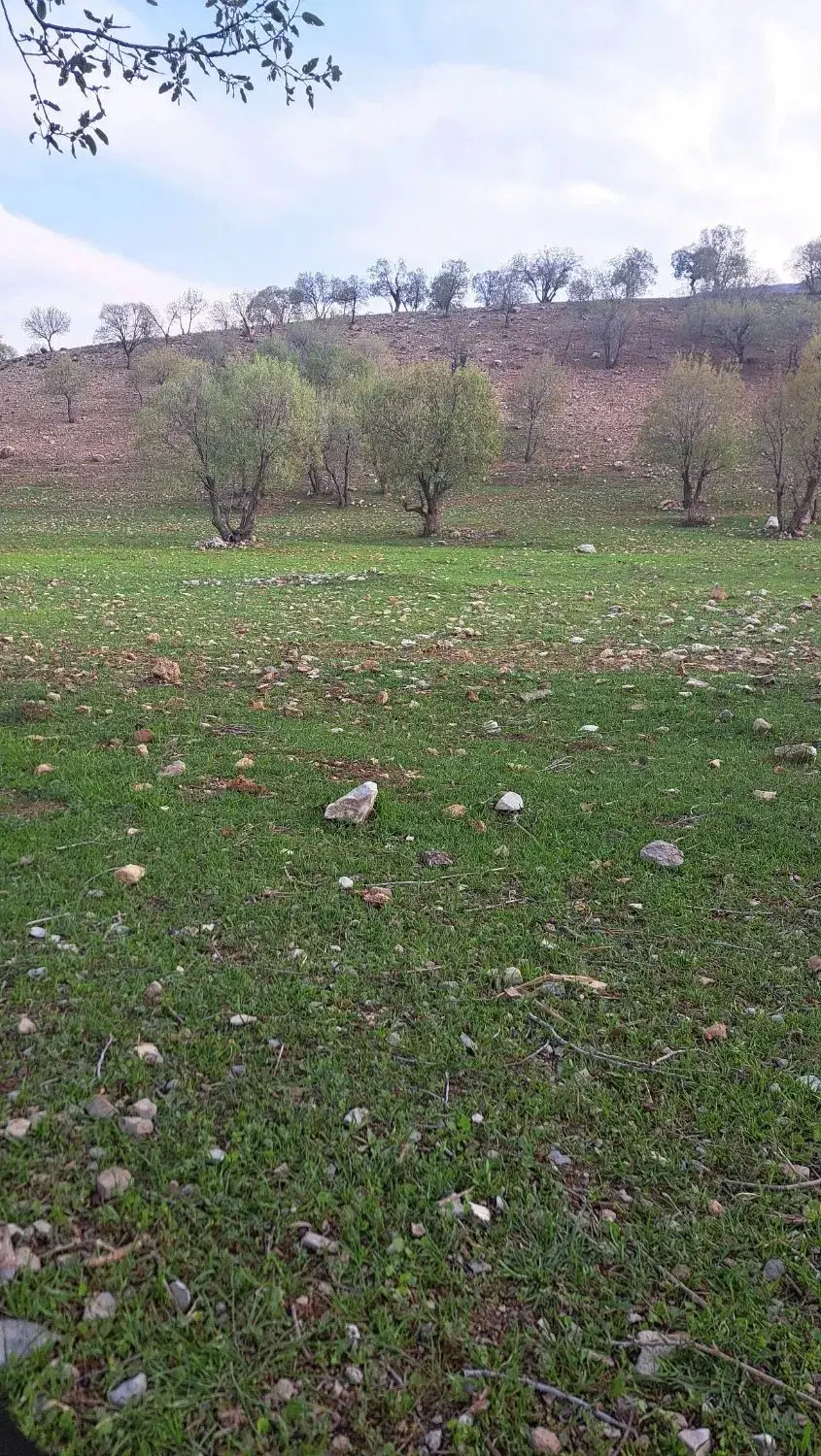 زمین مسکونی سند تک برگ ۲۳۰متر سراب
