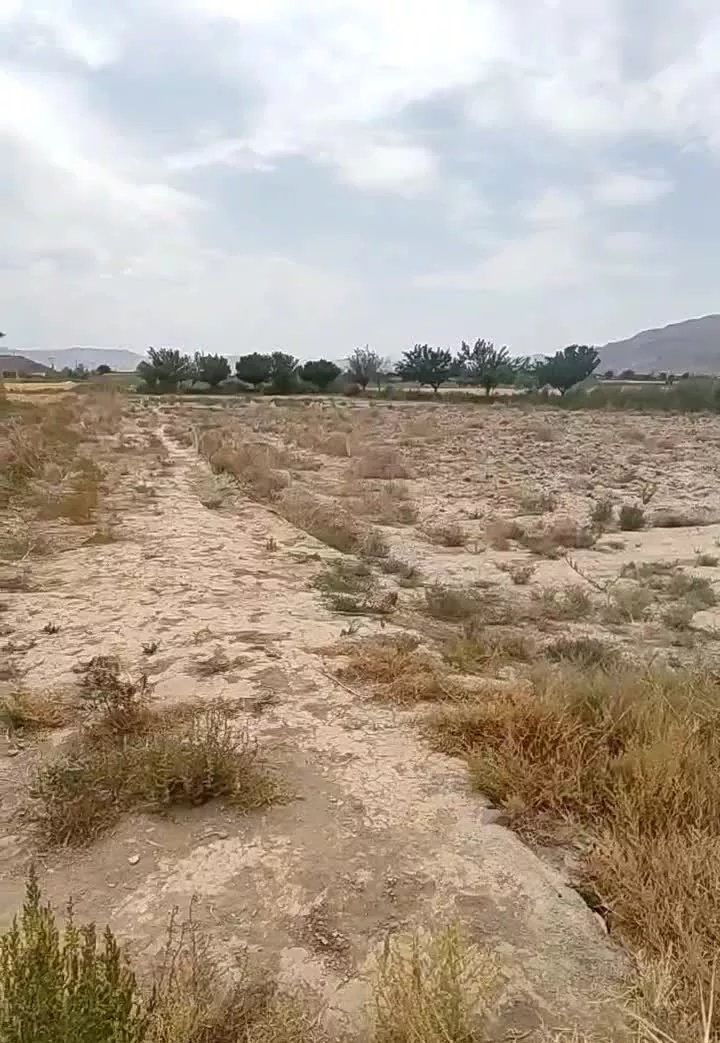 فروش زمین مزروعی